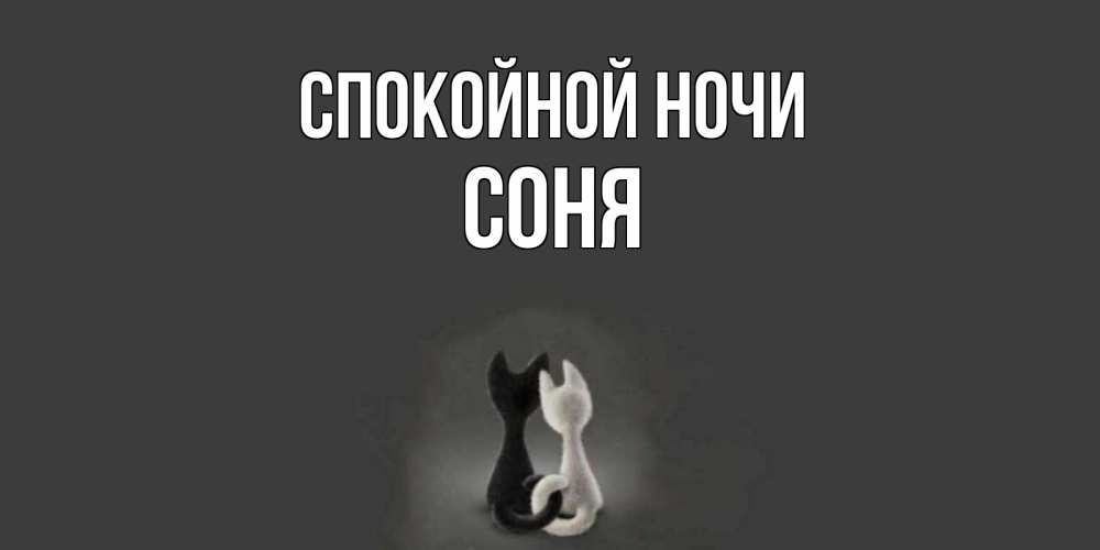 Открытка на каждый день с именем, Соня Спокойной ночи коты Прикольная открытка с пожеланием онлайн скачать бесплатно 