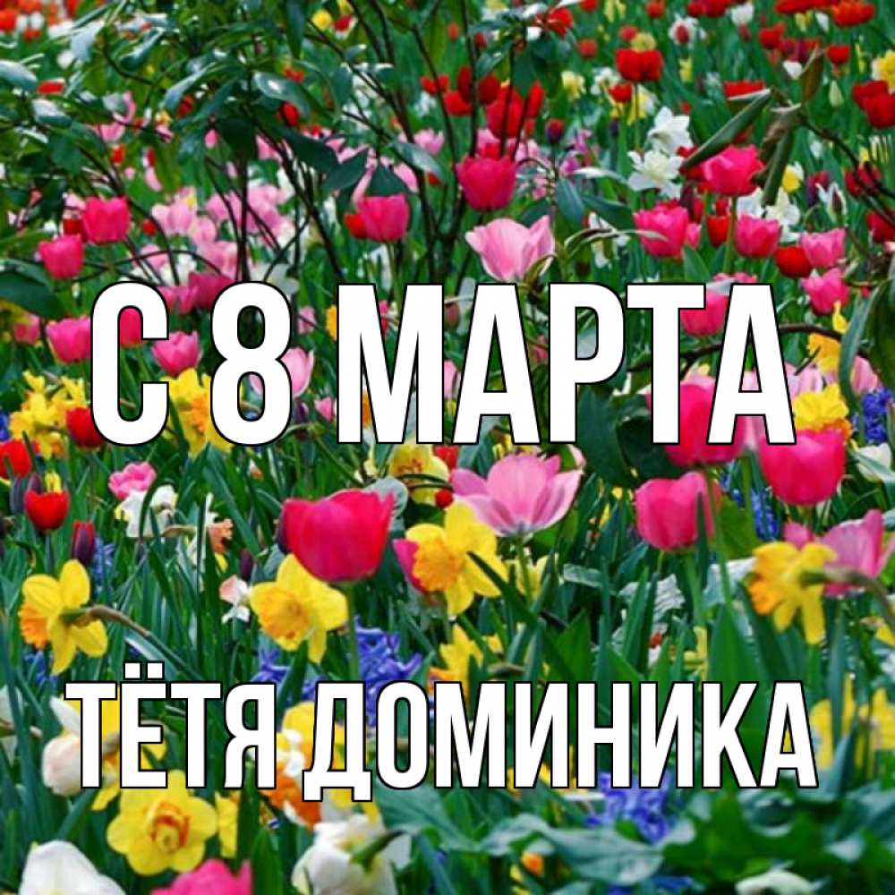 Открытка на каждый день с именем, Тётя-Доминика С 8 МАРТА с международным женским днем поздравления для женщины Прикольная открытка с пожеланием онлайн скачать бесплатно 