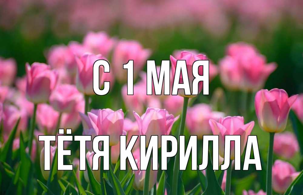 Открытка на каждый день с именем, Тётя-Кирилла С 1 мая С 1 мая Прикольная открытка с пожеланием онлайн скачать бесплатно 