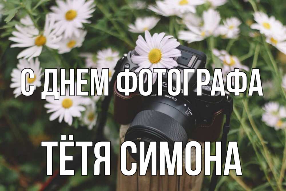 Открытка на каждый день с именем, Тётя-Симона С днем фотографа с днем фотографа Прикольная открытка с пожеланием онлайн скачать бесплатно 