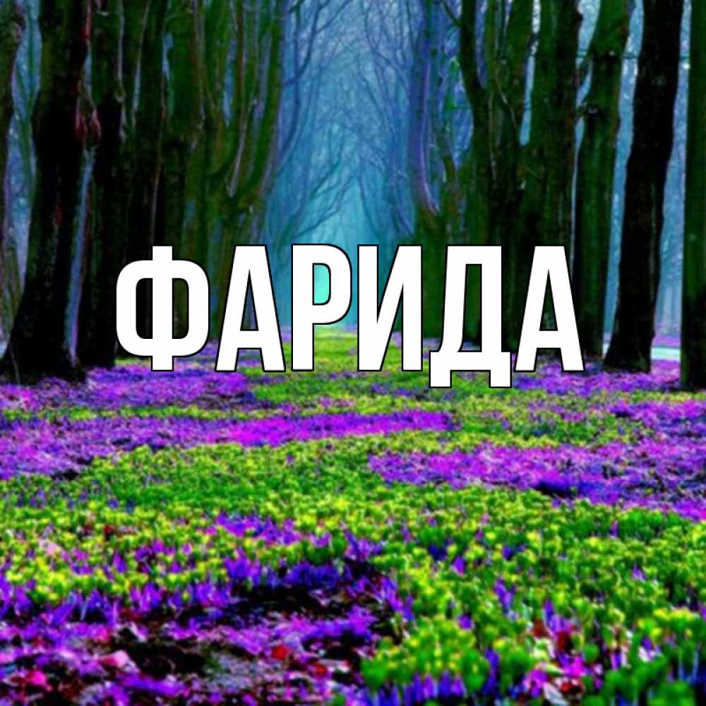 Открытка на каждый день с именем, Фарида Главная фиолетовые цветы в лесу 1 Прикольная открытка с пожеланием онлайн скачать бесплатно 