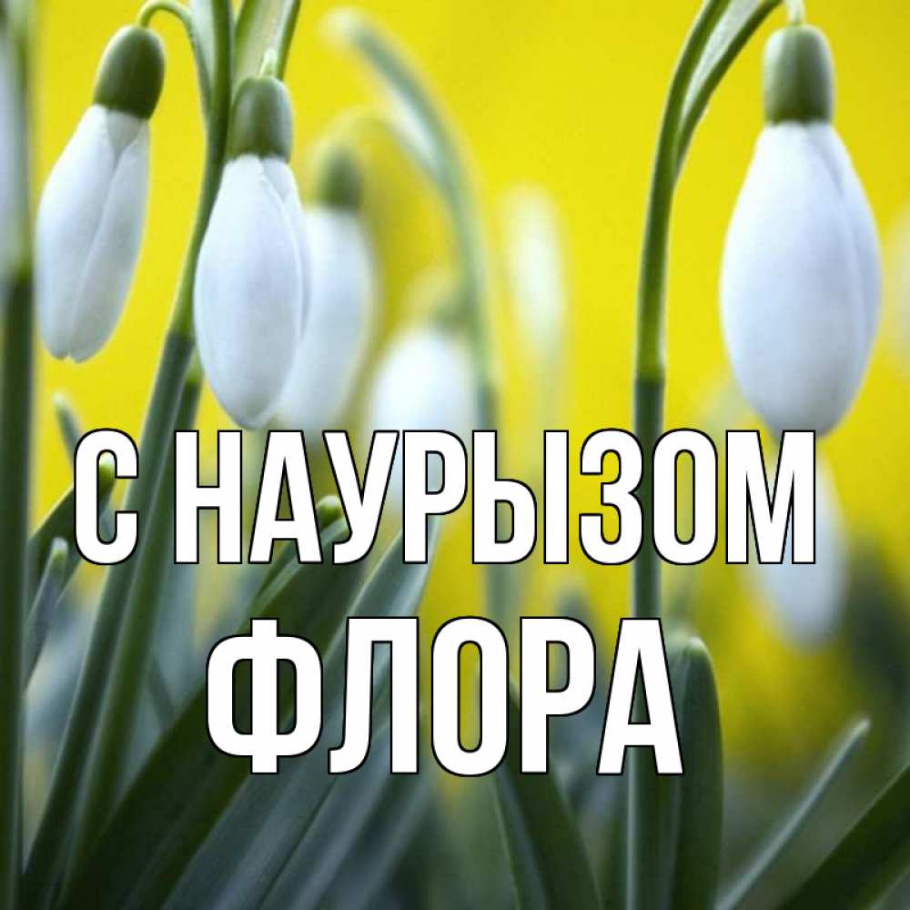 Открытка на каждый день с именем, Флора С наурызом весенние цветы Прикольная открытка с пожеланием онлайн скачать бесплатно 
