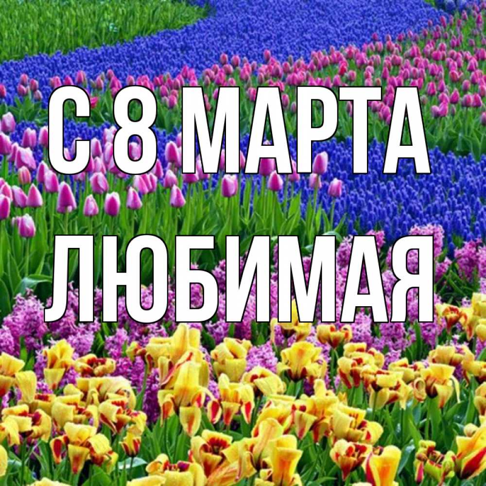 Открытка на каждый день с именем, любимая С 8 марта цветы Прикольная открытка с пожеланием онлайн скачать бесплатно 