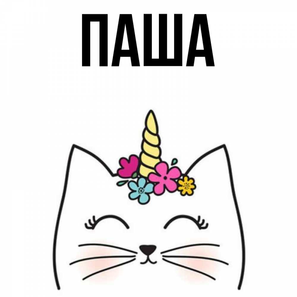 Открытка на каждый день с именем, паша Главная милый кот с одним рожком Прикольная открытка с пожеланием онлайн скачать бесплатно 