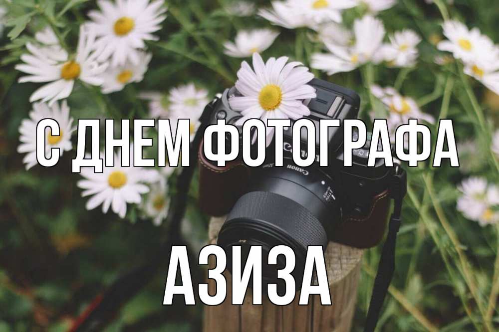 Открытка на каждый день с именем, Азиза С днем фотографа с днем фотографа Прикольная открытка с пожеланием онлайн скачать бесплатно 