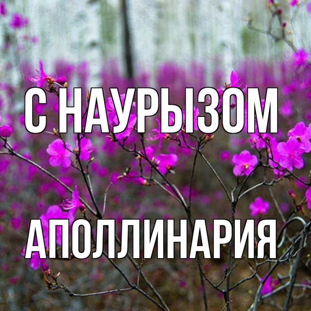 Открытка на каждый день с именем, Аполлинария С наурызом дикие цветы Прикольная открытка с пожеланием онлайн скачать бесплатно 
