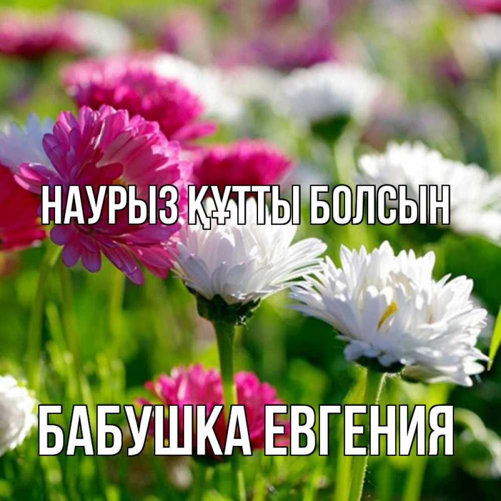 Открытка на каждый день с именем, Бабушка-Евгения Наурыз құтты болсын наурыз Прикольная открытка с пожеланием онлайн скачать бесплатно 