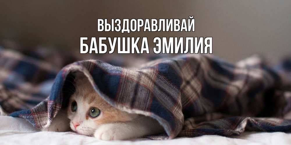 Открытка на каждый день с именем, Бабушка-Эмилия Выздоравливай не болейте с котиком Прикольная открытка с пожеланием онлайн скачать бесплатно 