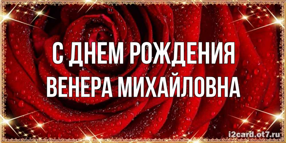 Открытка на каждый день с именем, Венера-Михайловна С днем рождения роса на розе блестящая в лучах солнца Прикольная открытка с пожеланием онлайн скачать бесплатно 