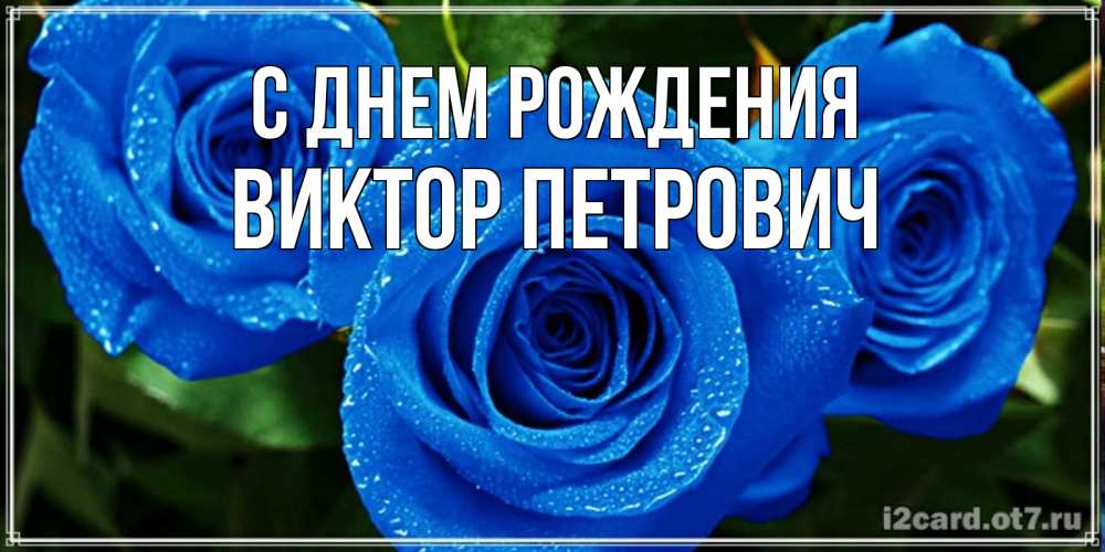 Открытка на каждый день с именем, Виктор-Петрович С днем рождения розы с синим цветом Прикольная открытка с пожеланием онлайн скачать бесплатно 