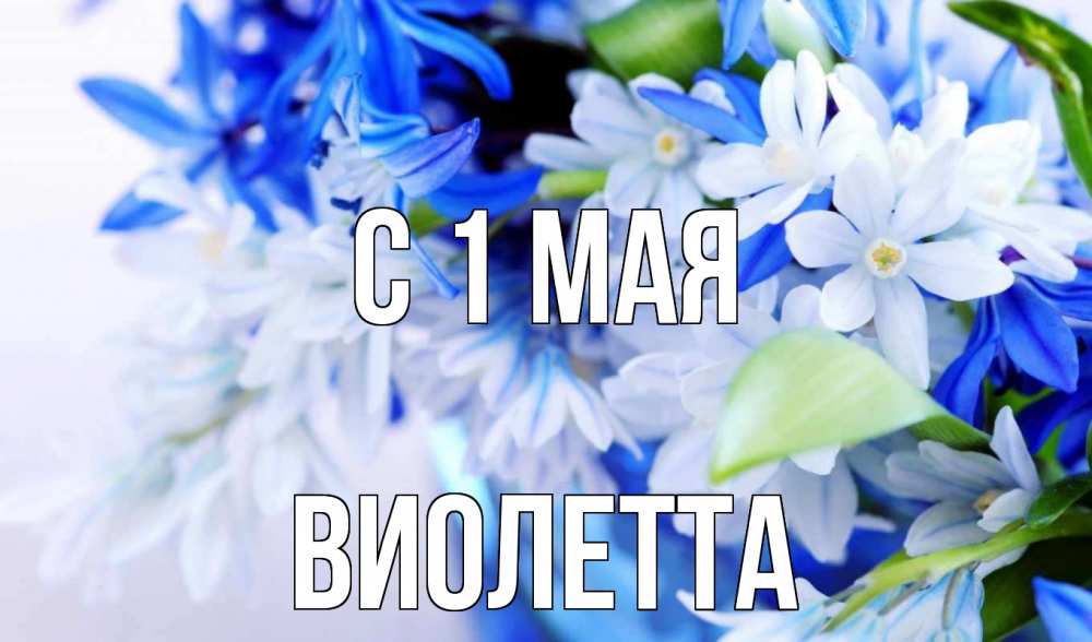 Открытка на каждый день с именем, Виолетта С 1 мая С 1 мая Прикольная открытка с пожеланием онлайн скачать бесплатно 