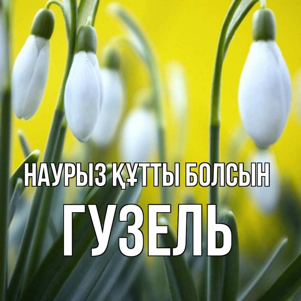 Открытка на каждый день с именем, Гузель Наурыз құтты болсын весенние цветы Прикольная открытка с пожеланием онлайн скачать бесплатно 