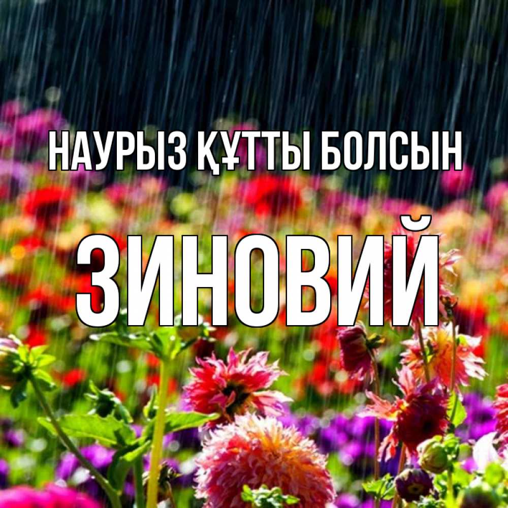 Открытка на каждый день с именем, Зиновий Наурыз құтты болсын цветы под дождиком к наурызу Прикольная открытка с пожеланием онлайн скачать бесплатно 