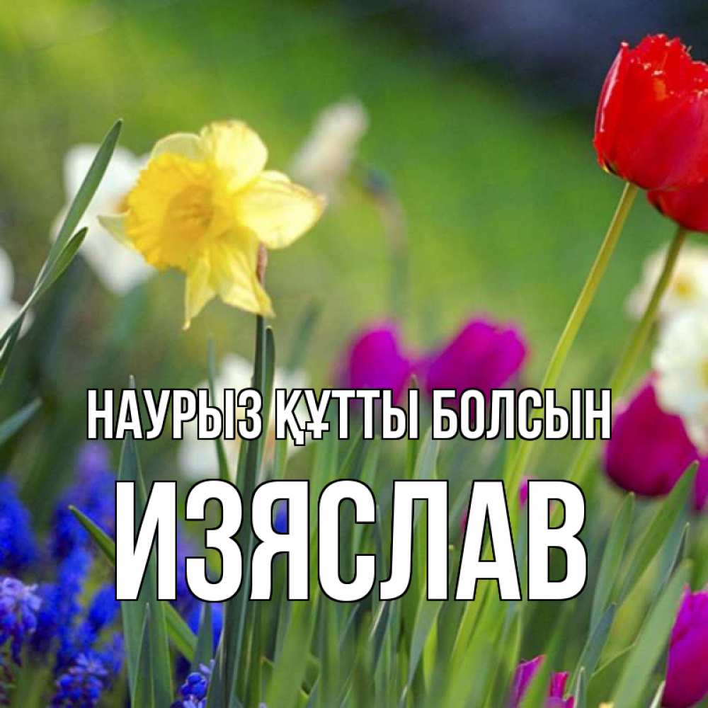 Открытка на каждый день с именем, Изяслав Наурыз құтты болсын наурыз  3 открытки Прикольная открытка с пожеланием онлайн скачать бесплатно 