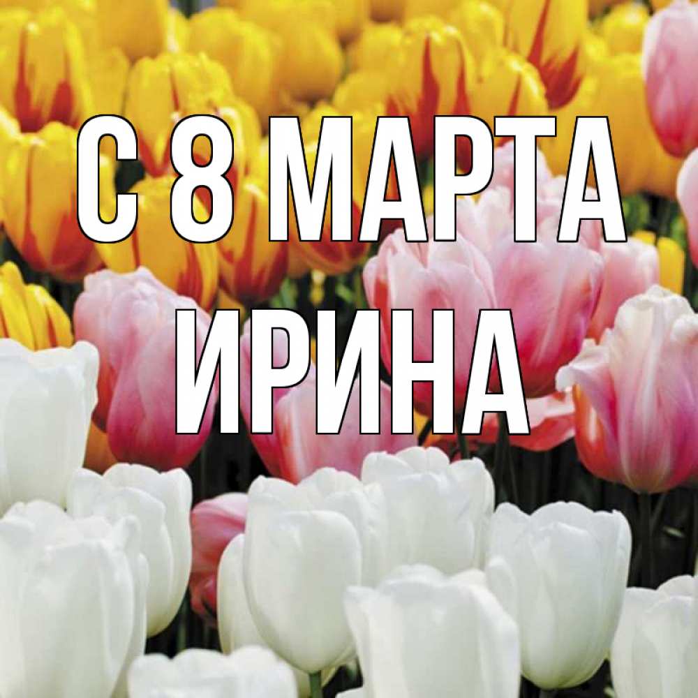 Открытка на каждый день с именем, Ирина С 8 марта разноцветные цветы Прикольная открытка с пожеланием онлайн скачать бесплатно 