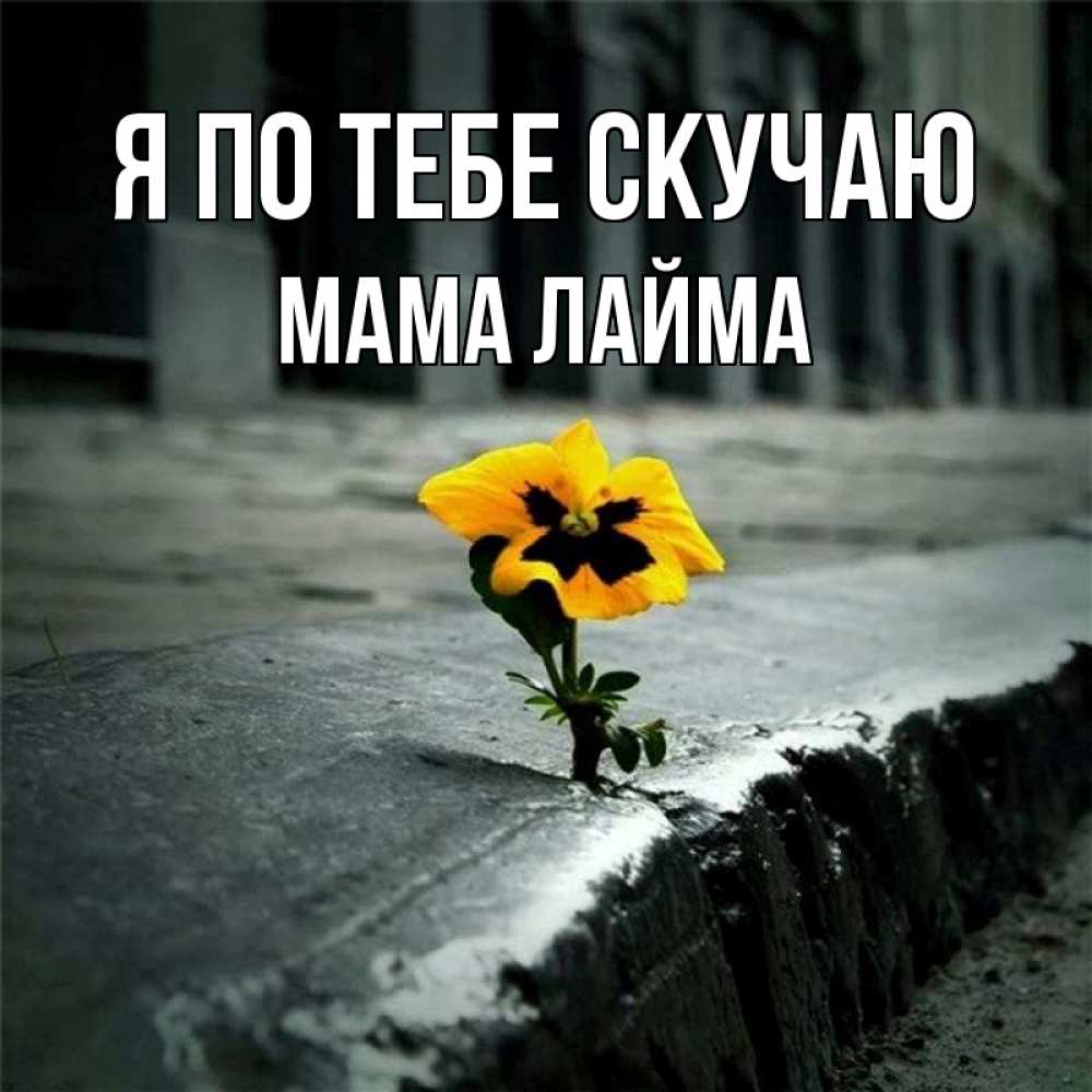 Открытка на каждый день с именем, Мама-Лайма Я по тебе скучаю надеюсь будет лучше Прикольная открытка с пожеланием онлайн скачать бесплатно 