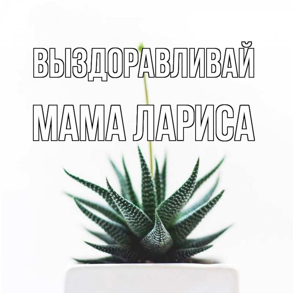Открытка на каждый день с именем, Мама-Лариса Выздоравливай короче это непонятная колючка Прикольная открытка с пожеланием онлайн скачать бесплатно 