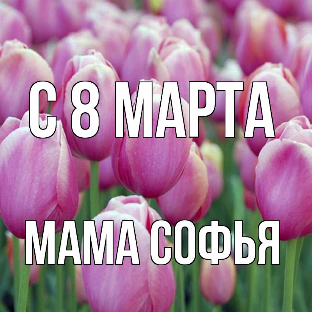 Открытка на каждый день с именем, Мама-Софья С 8 МАРТА на международный женский день 3 Прикольная открытка с пожеланием онлайн скачать бесплатно 