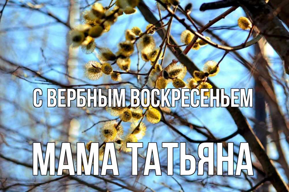 Открытка на каждый день с именем, Мама-Татьяна С вербным воскресеньем верба Прикольная открытка с пожеланием онлайн скачать бесплатно 