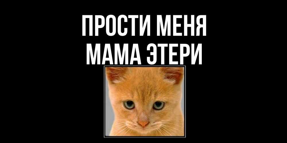 Открытка на каждый день с именем, Мама-Этери Прости меня рыжий грустный кот просит прощения Прикольная открытка с пожеланием онлайн скачать бесплатно 