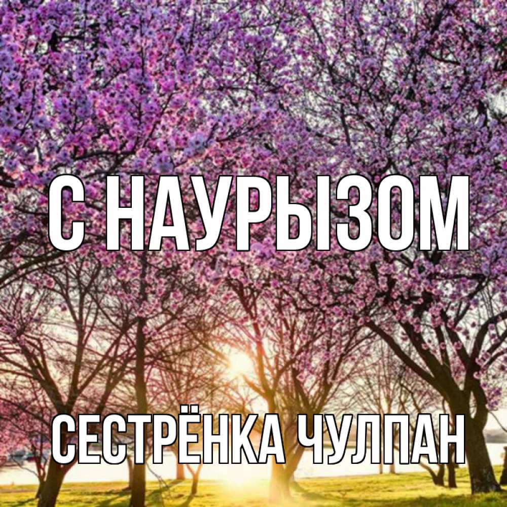 Открытка на каждый день с именем, Сестрёнка-Чулпан С наурызом праздник весны наурыз Прикольная открытка с пожеланием онлайн скачать бесплатно 