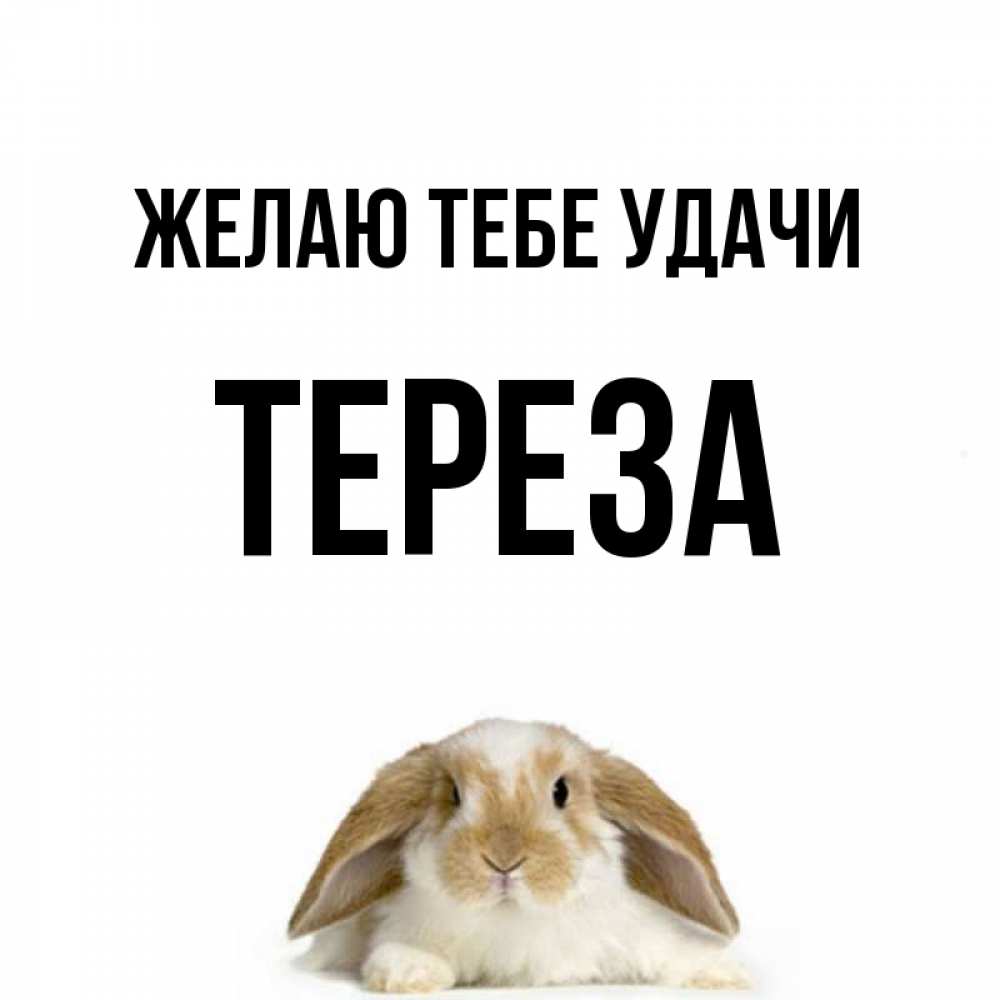 Открытка на каждый день с именем, Тереза Желаю тебе удачи открытки с произвольным текстом который можно вставить в открытку и создать ее самостоятельно бесплатно онлайн Прикольная открытка с пожеланием онлайн скачать бесплатно 