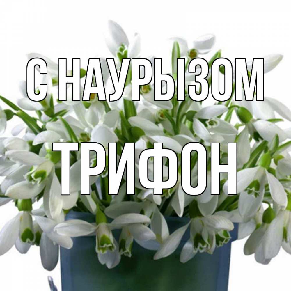 Открытка на каждый день с именем, Трифон С наурызом цветы к наурызу новый год в Казахстане Прикольная открытка с пожеланием онлайн скачать бесплатно 