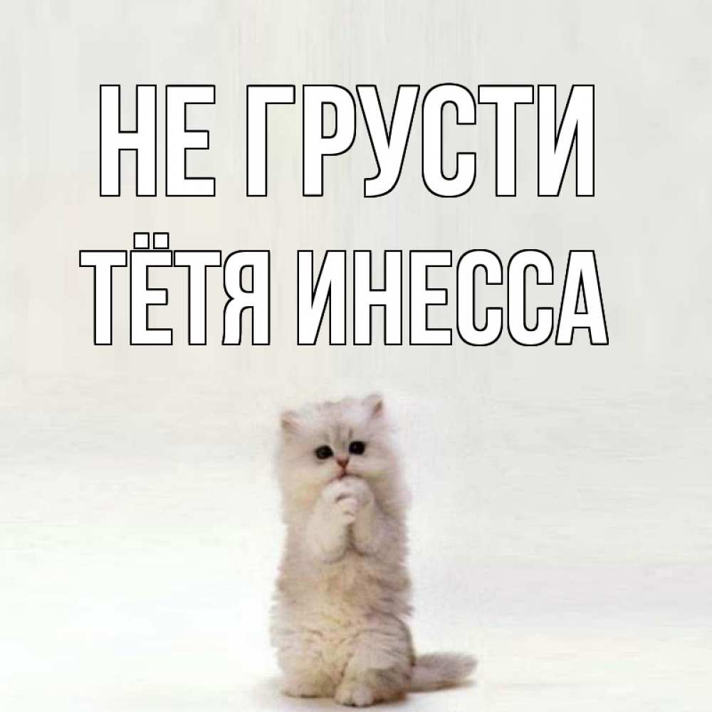 Открытка на каждый день с именем, Тётя-Инесса Не грусти грустный кот Прикольная открытка с пожеланием онлайн скачать бесплатно 