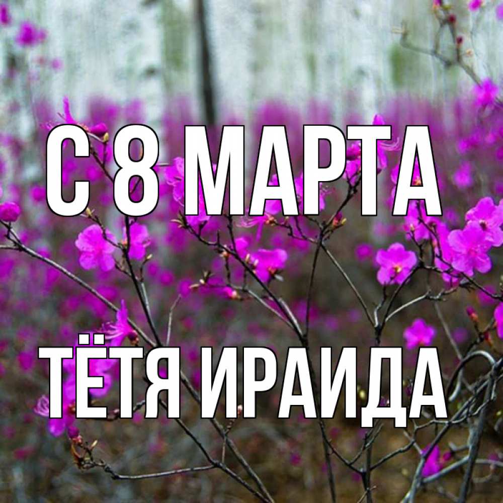 Открытка на каждый день с именем, Тётя-Ираида С 8 МАРТА дикие цветы Прикольная открытка с пожеланием онлайн скачать бесплатно 