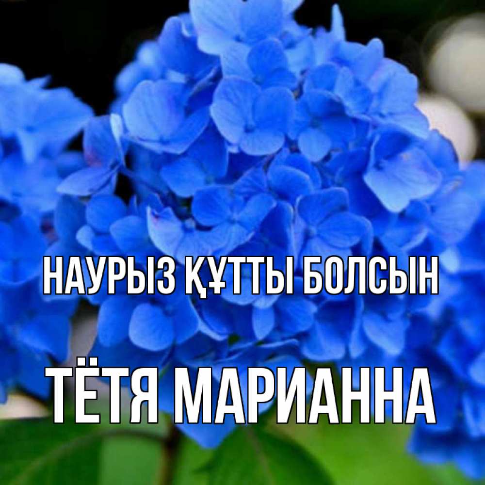 Открытка на каждый день с именем, Тётя-Марианна Наурыз құтты болсын синие цветы Прикольная открытка с пожеланием онлайн скачать бесплатно 
