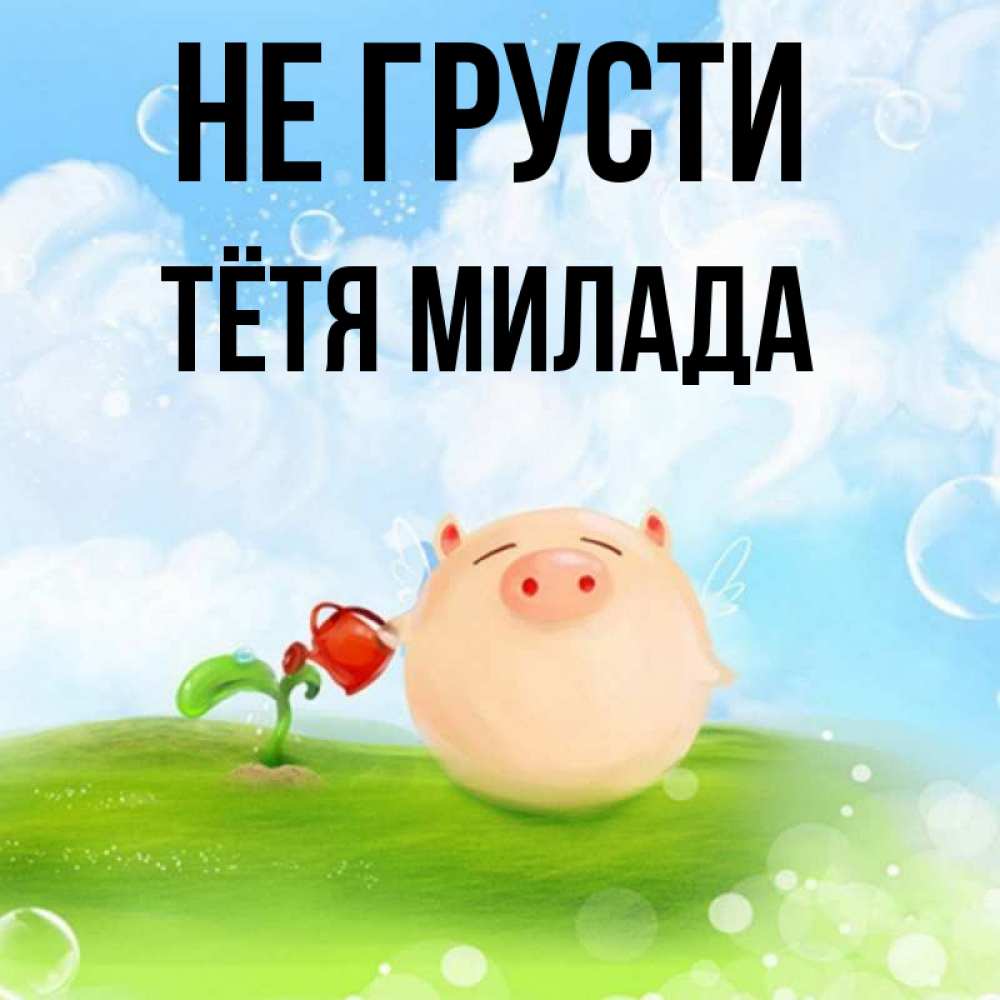 Открытка на каждый день с именем, Тётя-Милада Не грусти поливает цветок порося Прикольная открытка с пожеланием онлайн скачать бесплатно 