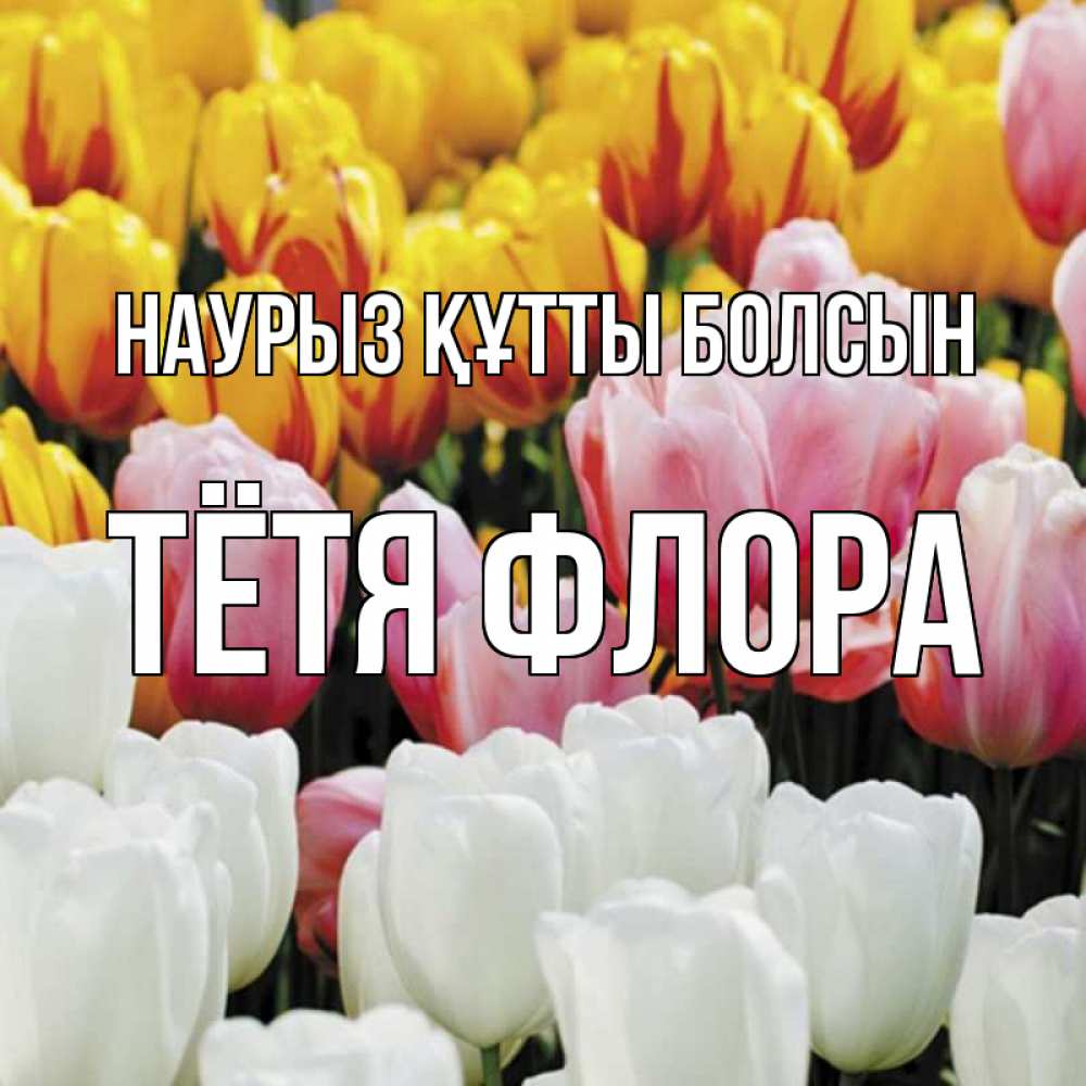 Открытка на каждый день с именем, Тётя-Флора Наурыз құтты болсын разноцветные цветы Прикольная открытка с пожеланием онлайн скачать бесплатно 