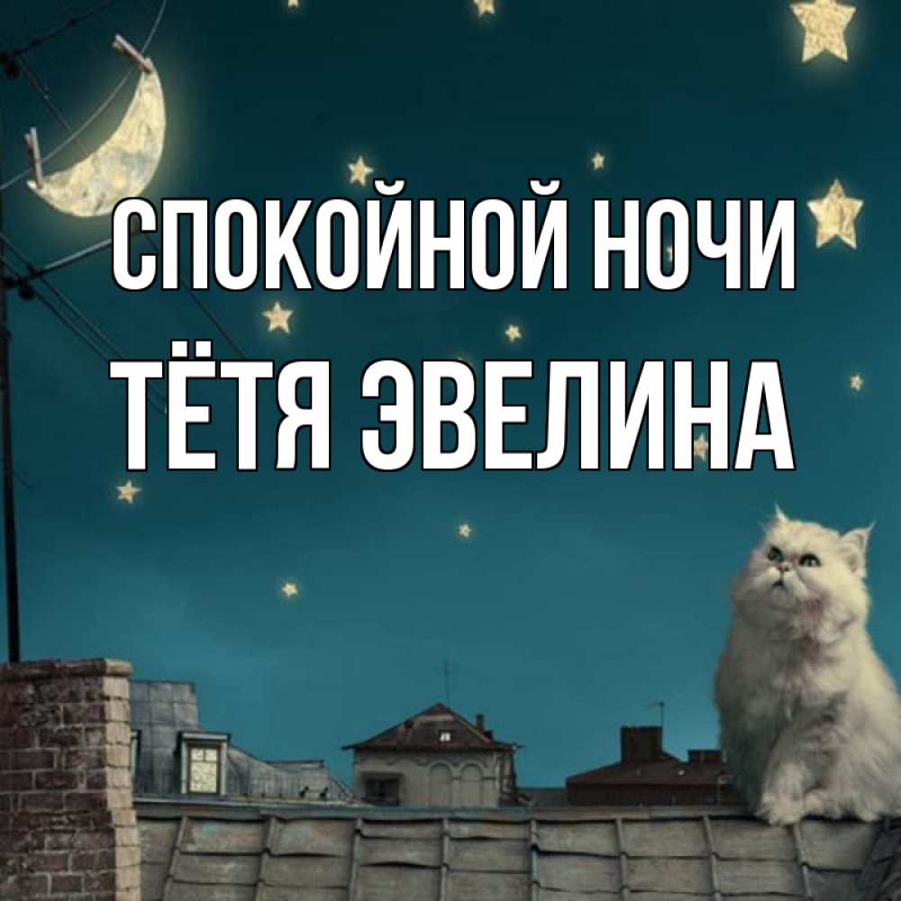 Открытка на каждый день с именем, Тётя-Эвелина Спокойной ночи белый кот сидит на крыше Прикольная открытка с пожеланием онлайн скачать бесплатно 