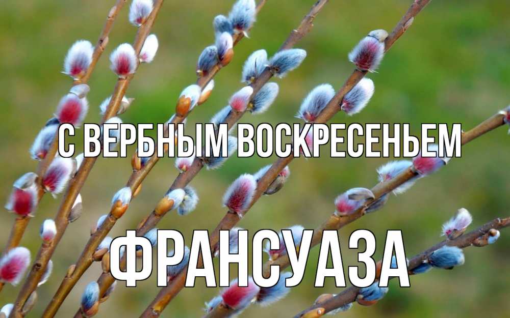 Открытка на каждый день с именем, Франсуаза С вербным воскресеньем верба Прикольная открытка с пожеланием онлайн скачать бесплатно 