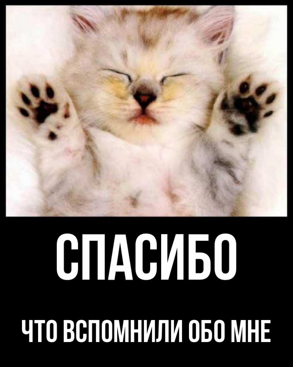 Открытка на каждый день с именем, ЧТО-ВСПОМНИЛИ-ОБО-МНЕ Спасибо маленький котенок Прикольная открытка с пожеланием онлайн скачать бесплатно 