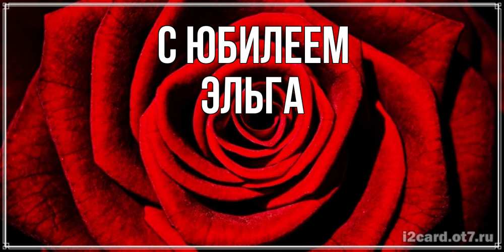 Открытка на каждый день с именем, Эльга С юбилеем алая роза Прикольная открытка с пожеланием онлайн скачать бесплатно 