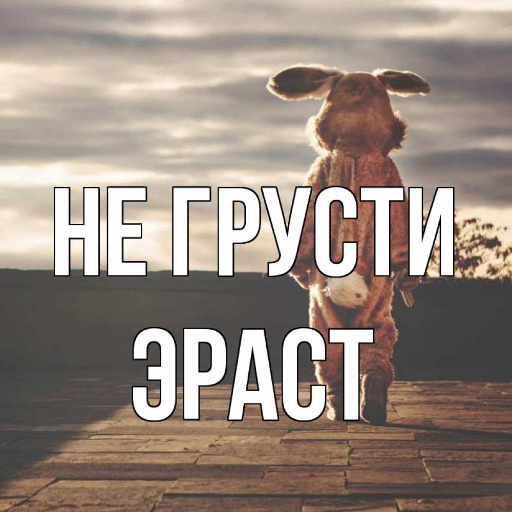Открытка на каждый день с именем, Эраст Не грусти со спины Прикольная открытка с пожеланием онлайн скачать бесплатно 
