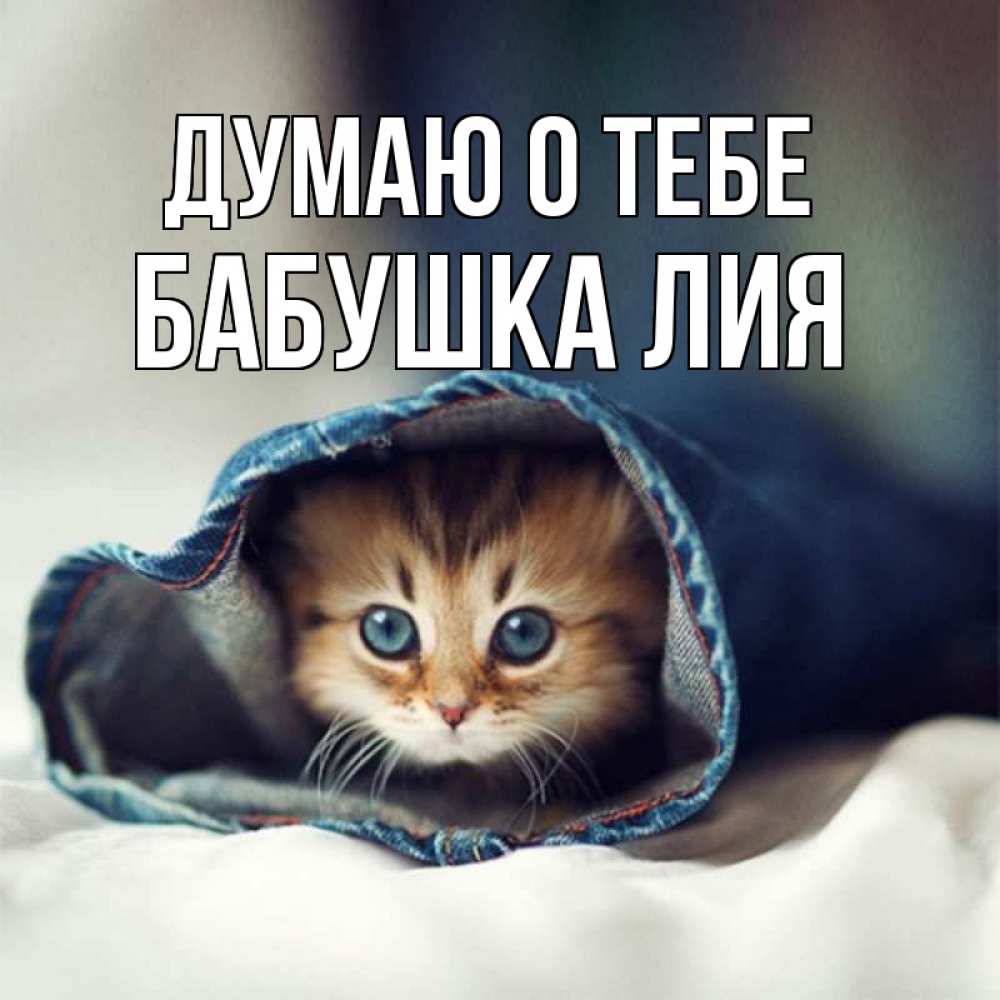 Открытка на каждый день с именем, Бабушка-Лия Думаю о тебе мне без тебя плохо Прикольная открытка с пожеланием онлайн скачать бесплатно 