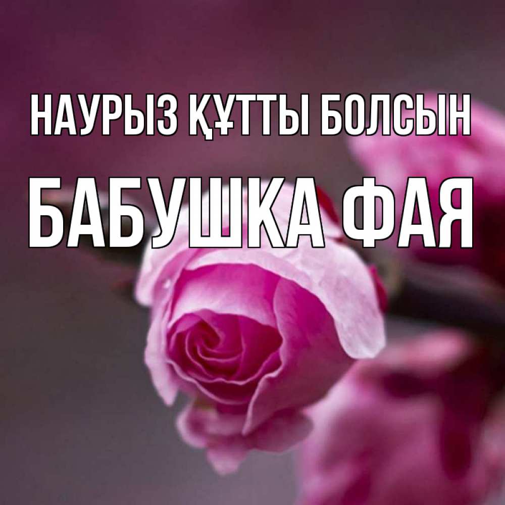 Открытка на каждый день с именем, Бабушка-Фая Наурыз құтты болсын весна Прикольная открытка с пожеланием онлайн скачать бесплатно 