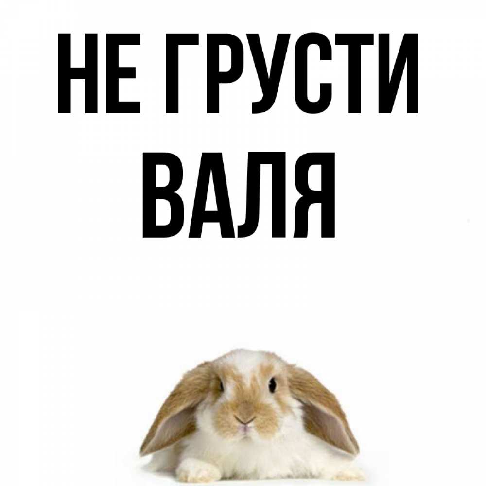 Открытка на каждый день с именем, Валя Не грусти коричнево белый заяц с большими ушками Прикольная открытка с пожеланием онлайн скачать бесплатно 