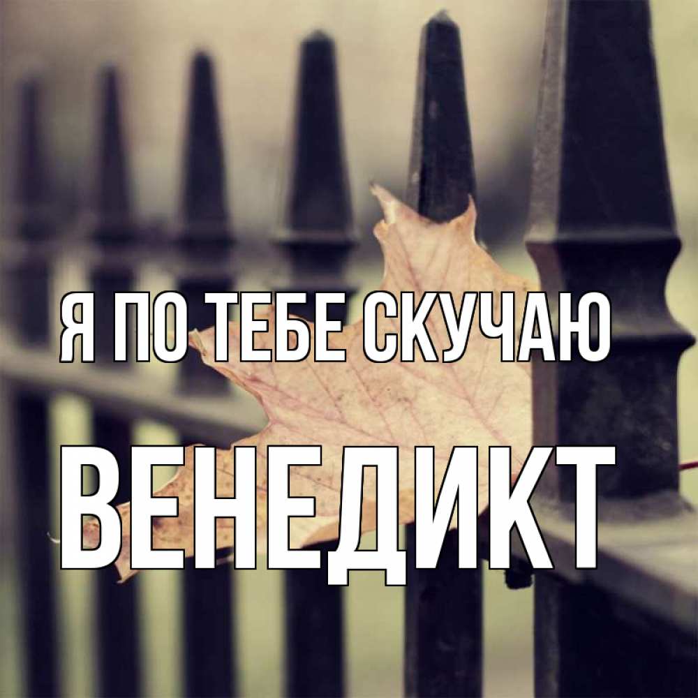 Открытка на каждый день с именем, Венедикт Я по тебе скучаю очень скучно Прикольная открытка с пожеланием онлайн скачать бесплатно 