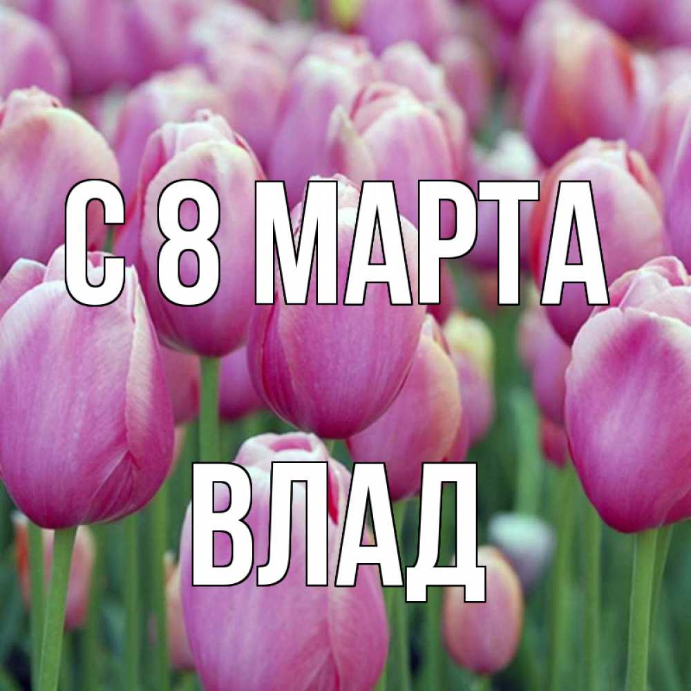 Открытка на каждый день с именем, Влад С 8 марта на международный женский день 3 Прикольная открытка с пожеланием онлайн скачать бесплатно 