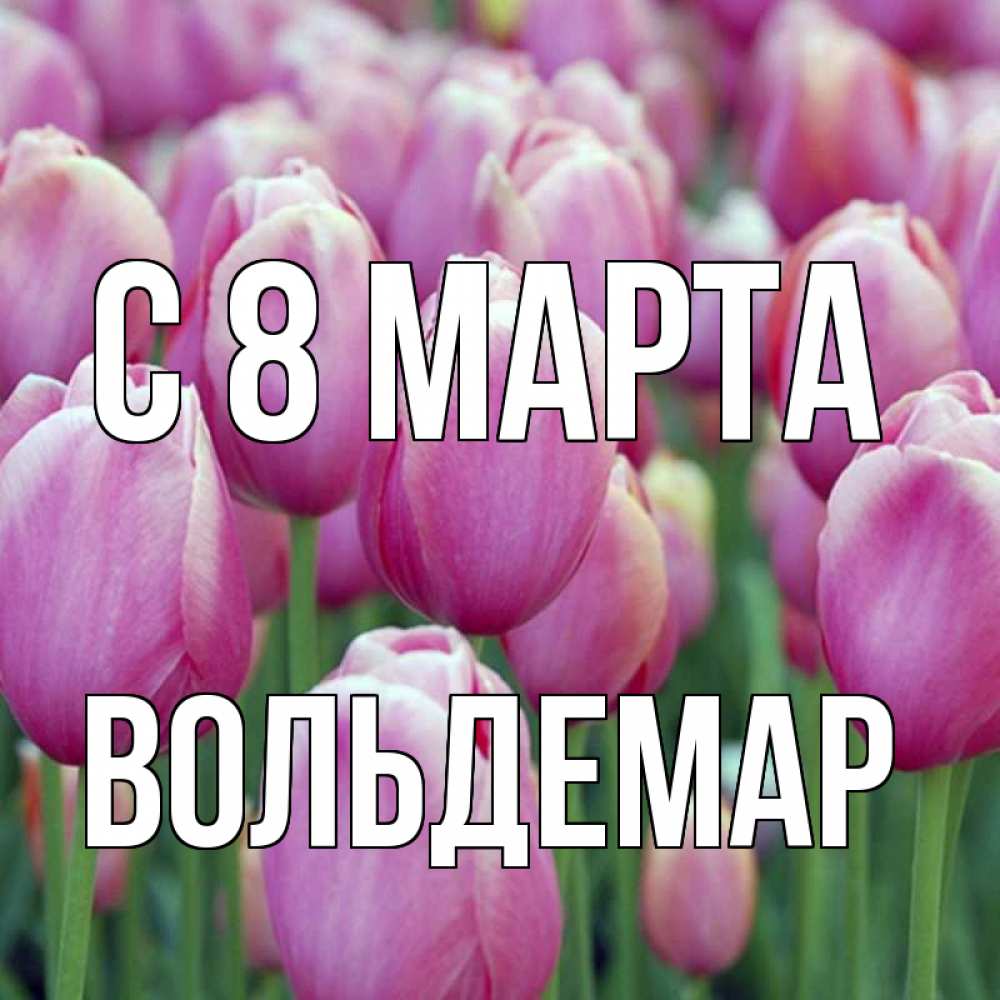 Открытка на каждый день с именем, Вольдемар С 8 МАРТА на международный женский день 3 Прикольная открытка с пожеланием онлайн скачать бесплатно 