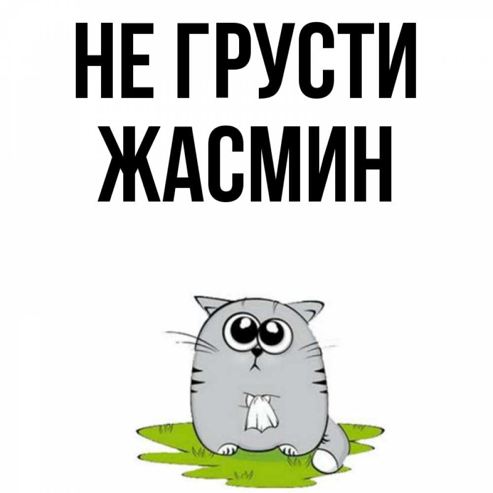 Открытка на каждый день с именем, Жасмин Не грусти грустный котяра Прикольная открытка с пожеланием онлайн скачать бесплатно 