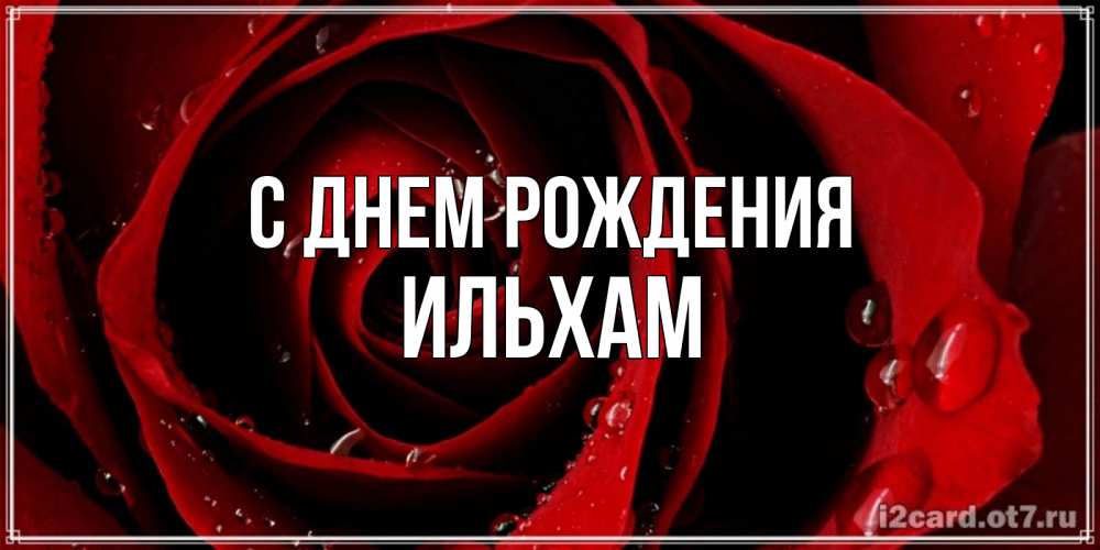 Открытка на каждый день с именем, Ильхам С днем рождения крупная бордовая роза Прикольная открытка с пожеланием онлайн скачать бесплатно 