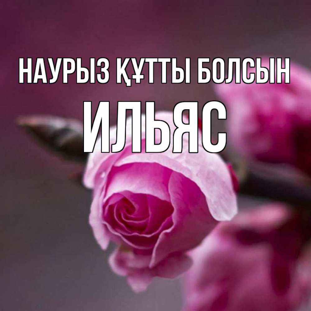 Открытка на каждый день с именем, Ильяс Наурыз құтты болсын весна Прикольная открытка с пожеланием онлайн скачать бесплатно 