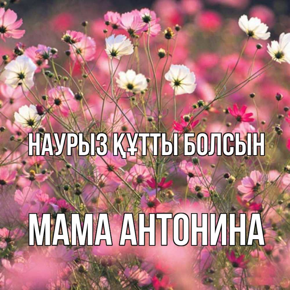 Открытка на каждый день с именем, Мама-Антонина Наурыз құтты болсын красиво 1 Прикольная открытка с пожеланием онлайн скачать бесплатно 