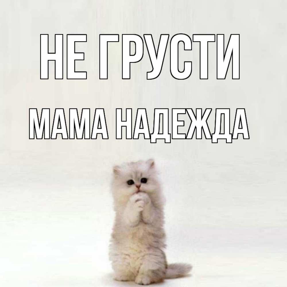 Открытка на каждый день с именем, Мама-Надежда Не грусти грустный кот Прикольная открытка с пожеланием онлайн скачать бесплатно 