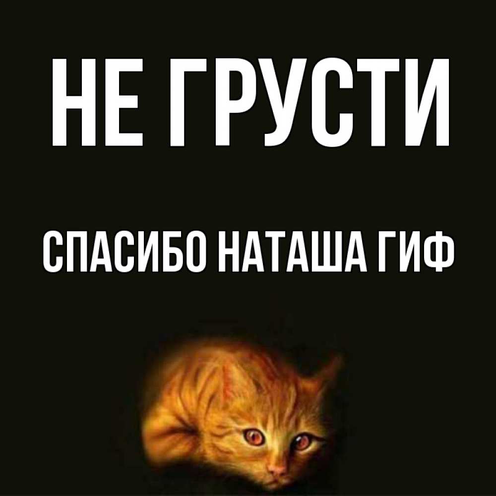 Открытка на каждый день с именем, СПАСИБО-НАТАША-ГИФ Не грусти лежащий кот в темноте Прикольная открытка с пожеланием онлайн скачать бесплатно 