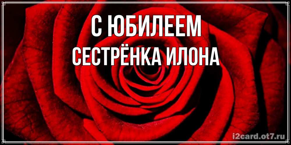 Открытка на каждый день с именем, Сестрёнка-Илона С юбилеем алая роза Прикольная открытка с пожеланием онлайн скачать бесплатно 